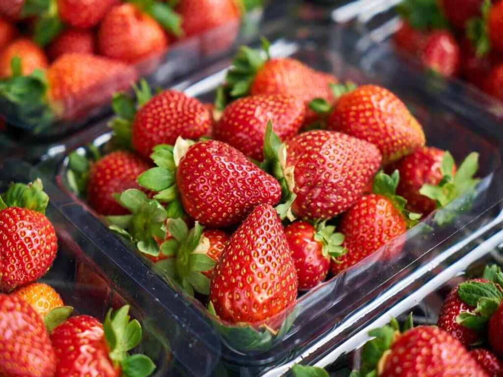 A plastic container with fresh strawberries.