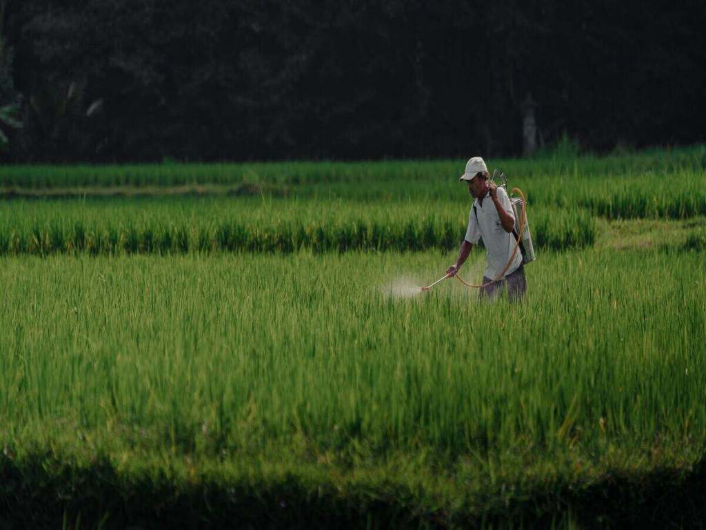 A man spraying crops.