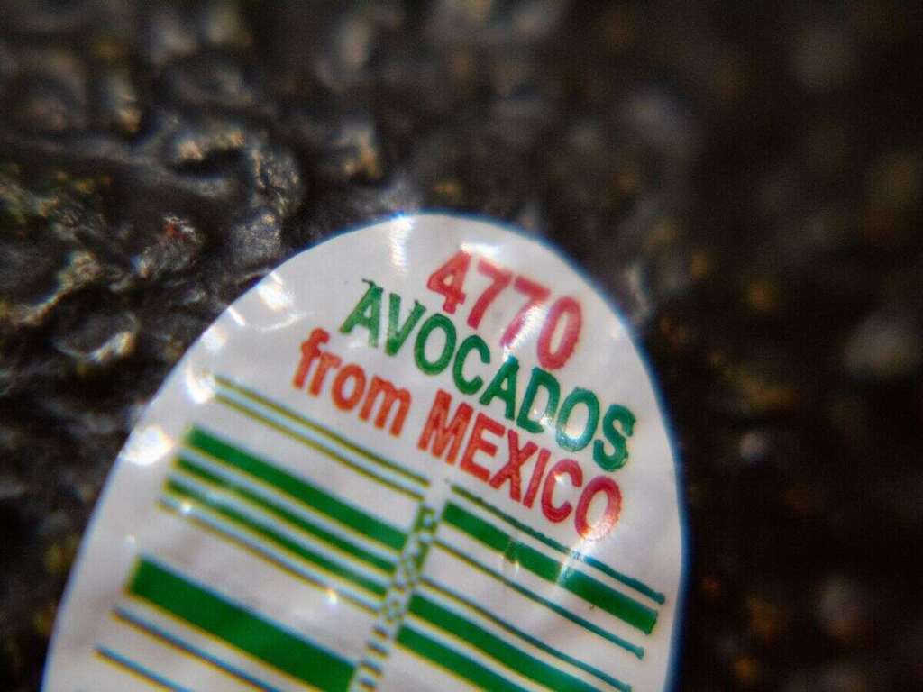 Plastic packaging of Mexican avocadoes.