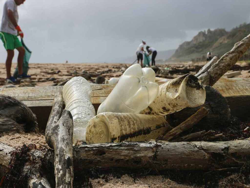 Plastic bottles and other garbage on the beach.
