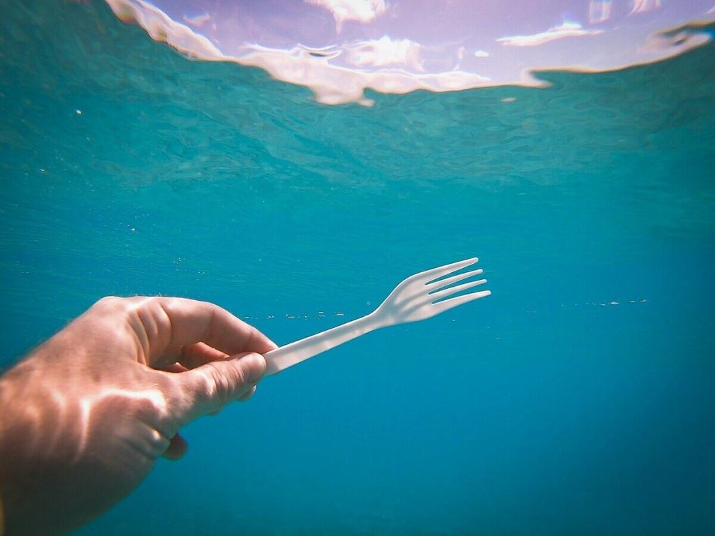 A person holding a plastic fork under water.