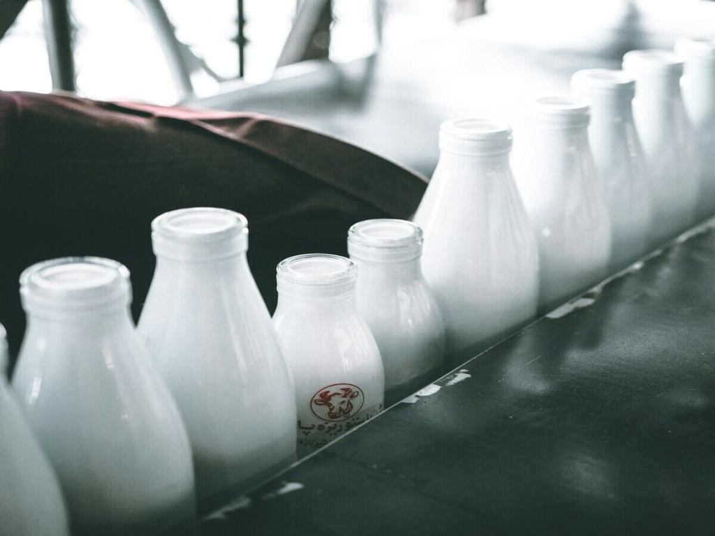 A row of glass bottles filled with milk.